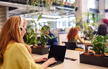 Person working on a laptop at a desk in a modern office with indoor plants, while other people sit and work in the background.